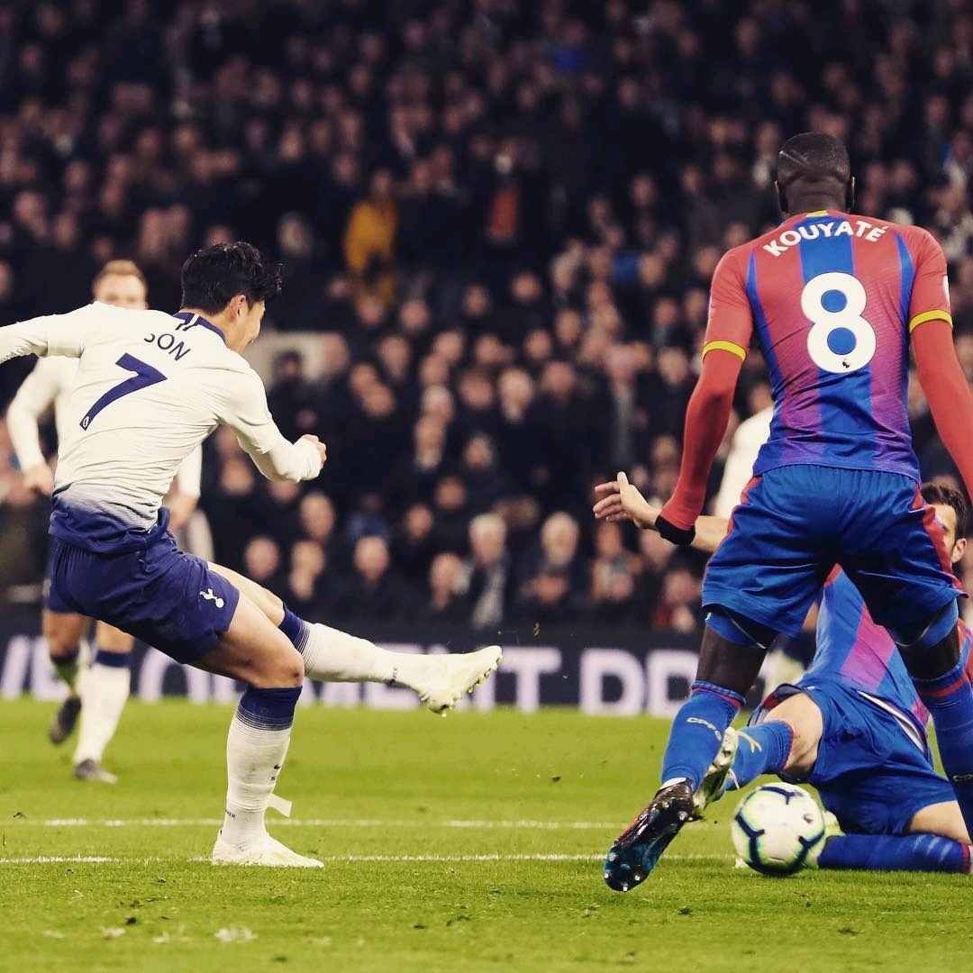 都彰显了 都彰显了